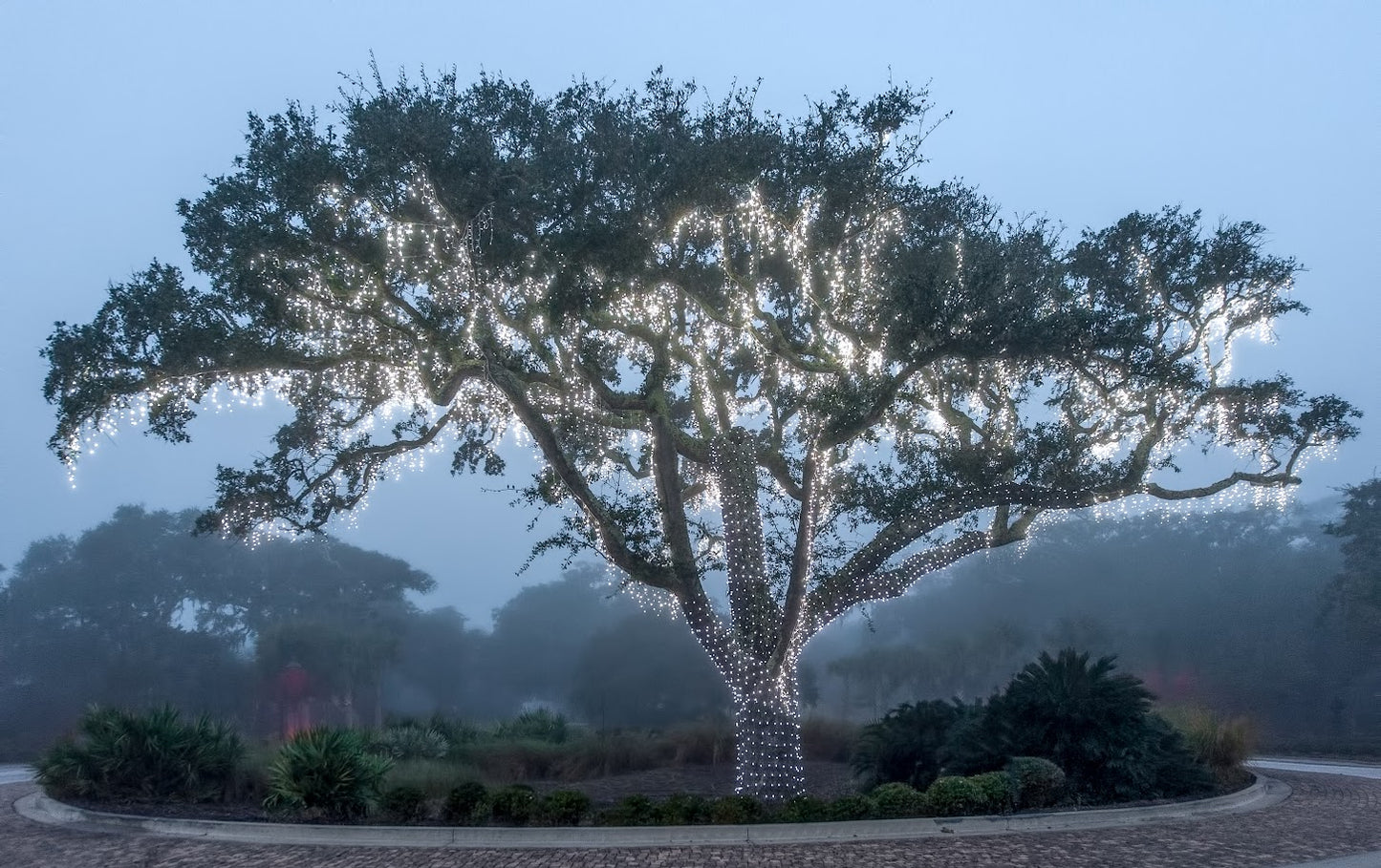 Christmas on Jekyll - Gem of the Golden Isles Series Book Five